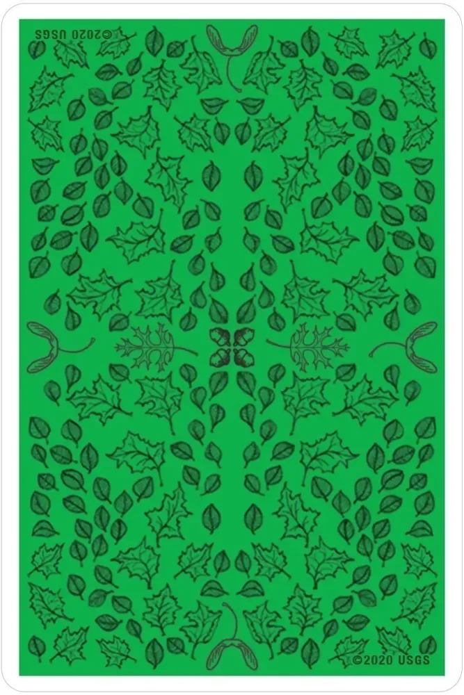 Oracle of the Trees Cards